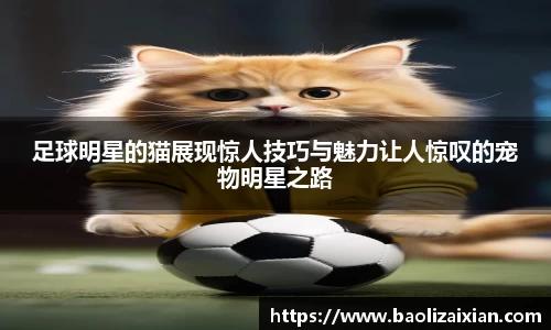 足球明星的猫展现惊人技巧与魅力让人惊叹的宠物明星之路